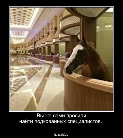 Вы же сами просили найти подкованных специалистов.