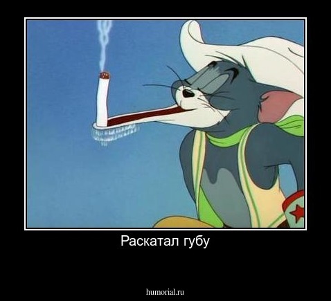 Раскатал губу
