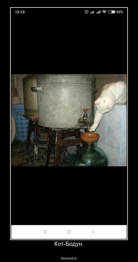 Кот-Бодун.