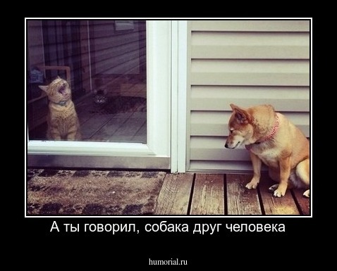 А ты говорил, собака друг человека