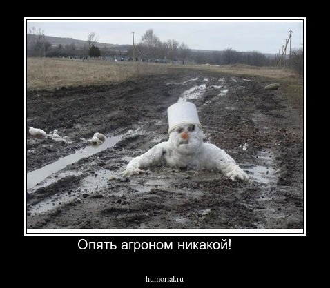 Опять агроном никакой!     