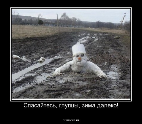 Спасайтесь, глупцы, зима далеко!