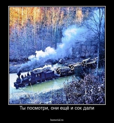 Ты посмотри, они ещё и сок дали