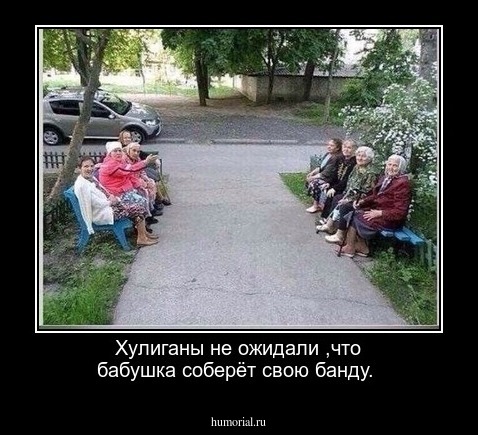 Хулиганы не ожидали ,что бабушка соберёт свою банду.
