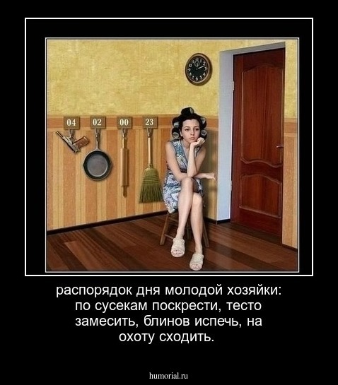 распорядок дня молодой хозяйки: по сусекам поскрести, тесто замесить, блинов испечь, на охоту сходить.