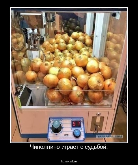 Чиполлино играет с судьбой.