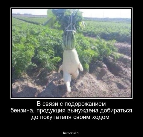 В связи с подорожанием бензина, продукция вынуждена добираться до покупателя своим ходом