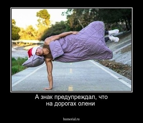 А знак предупреждал, что на дорогах олени