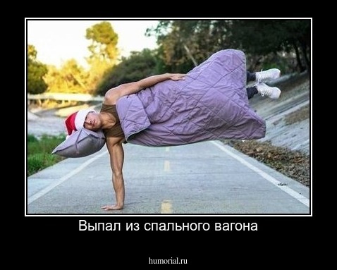 Выпал из спального вагона