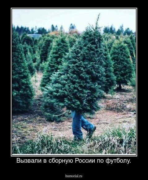 Вызвали в сборную России по футболу.