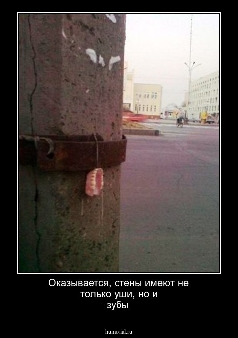 Оказывается, стены имеют не только уши, но и зубы