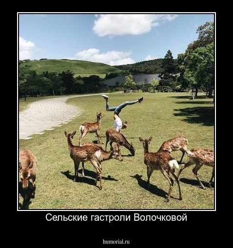 Сельские гастроли Волочковой