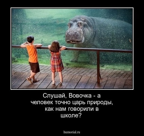 Слушай, Вовочка - а человек точно царь природы, как нам говорили в школе?