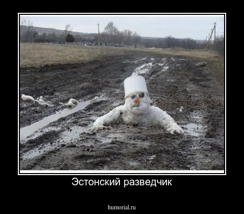 Эстонский разведчик