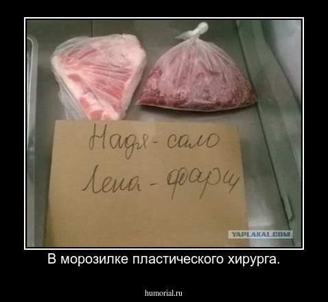 В морозилке пластического хирурга.