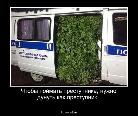 Чтобы поймать преступника, нужно дунуть как преступник.