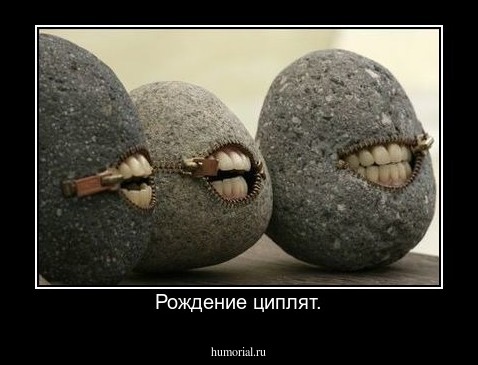 Рождение циплят.