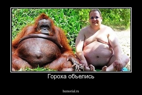 Гороха объелись