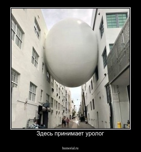 Здесь принимает уролог