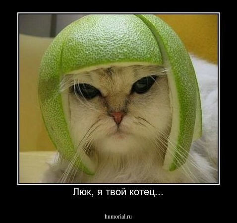 Люк, я твой котец...