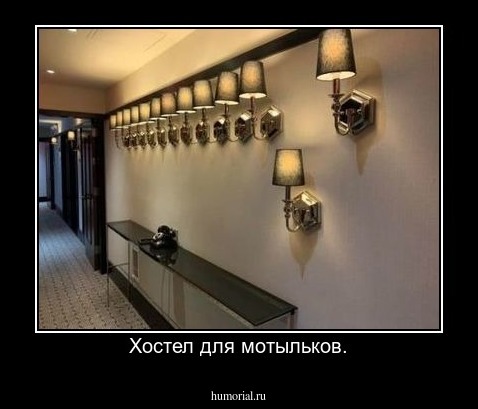 Хостел для мотыльков.