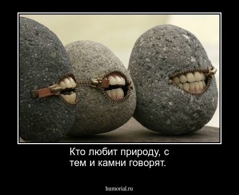 Кто любит природу, с тем и камни говорят.
