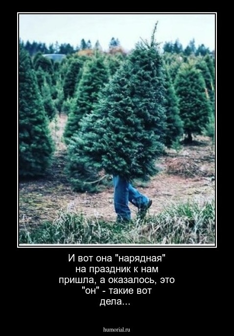 И вот она "нарядная" на праздник к нам пришла, а оказалось, это "он" - такие вот дела...