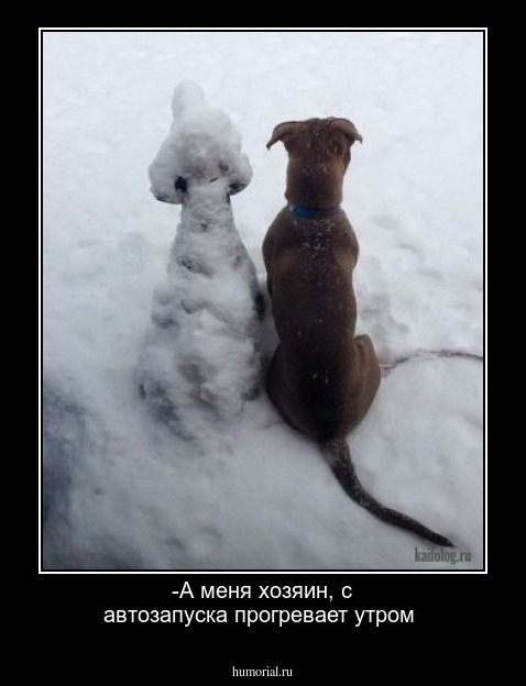 -А меня хозяин, с автозапуска прогревает утром