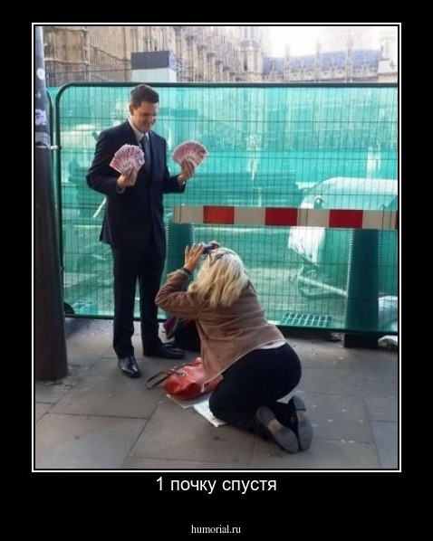 1 почку спустя