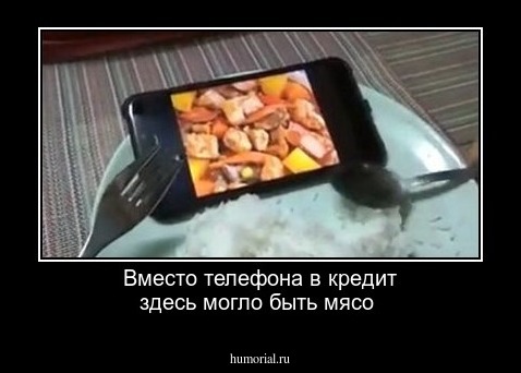 Вместо телефона в кредит здесь могло быть мясо