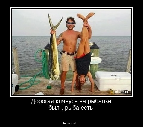 Дорогая клянусь на рыбалке был , рыба есть