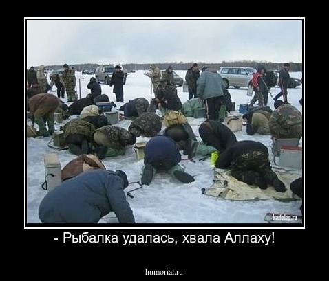 - Рыбалка удалась, хвала Аллаху!