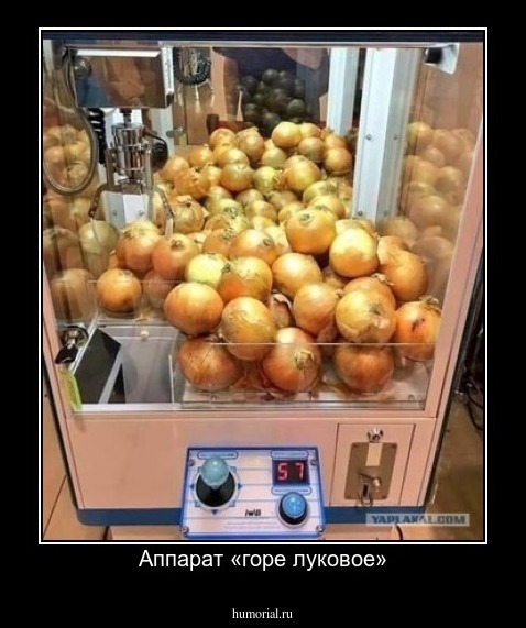 Аппарат «горе луковое»