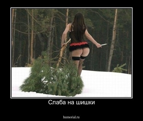 Слаба на шишки