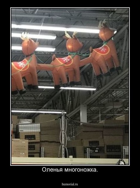 Оленья многоножка.