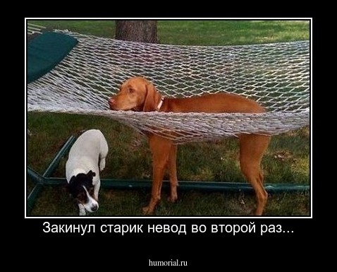 Закинул старик невод во второй раз...