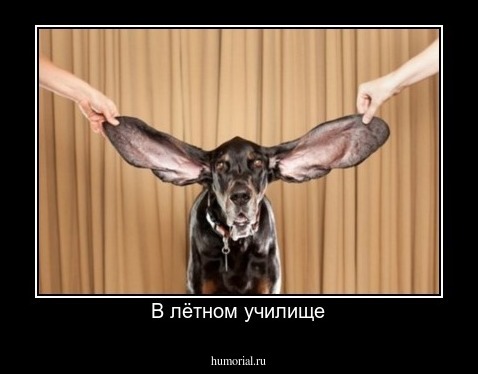 В лётном училище