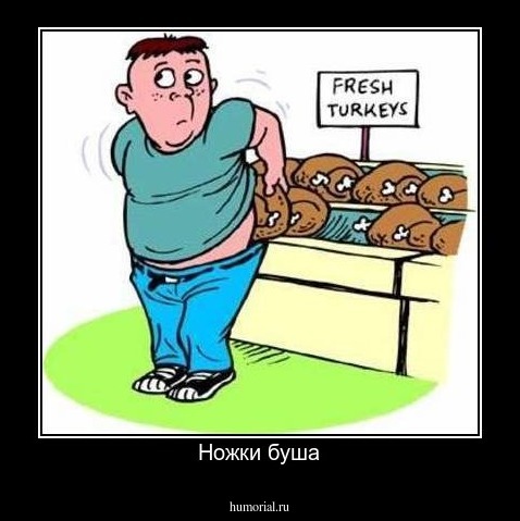 Ножки буша