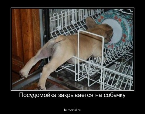 Посудомойка закрывается на собачку