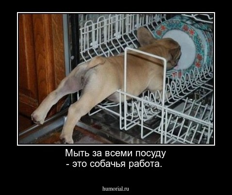 Мыть за всеми посуду - это собачья работа.