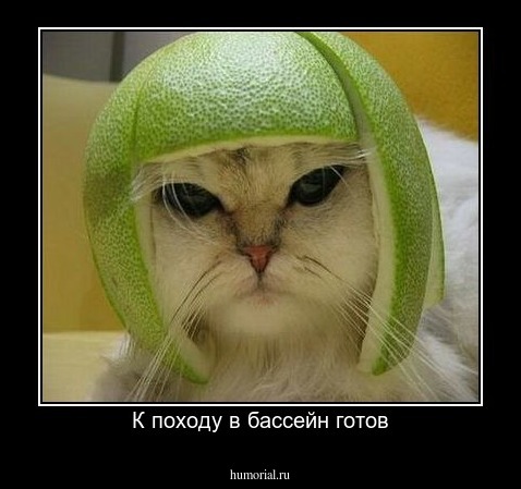 К походу в бассейн готов