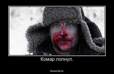 Комар лопнул.