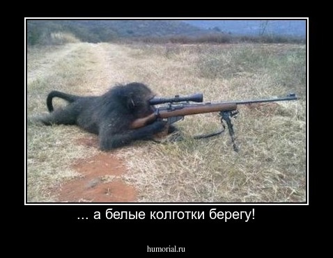 ... а белые колготки берегу!