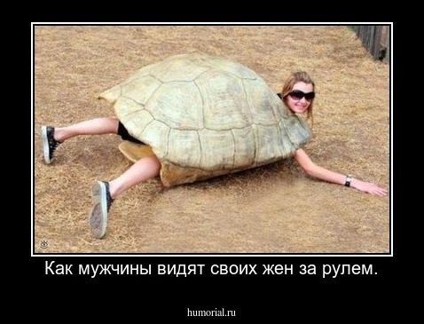 Как мужчины видят своих жен за рулем.
