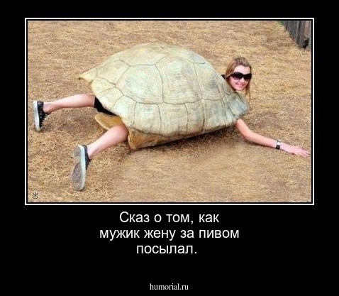 Сказ о том, как мужик жену за пивом посылал.
