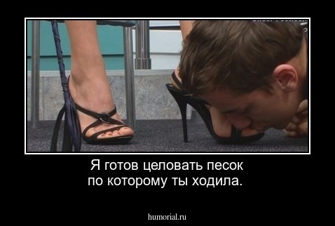 Я готов целовать песок по которому ты ходила.