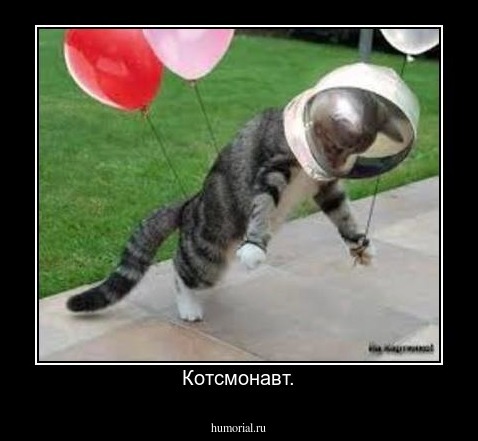 Котсмонавт.