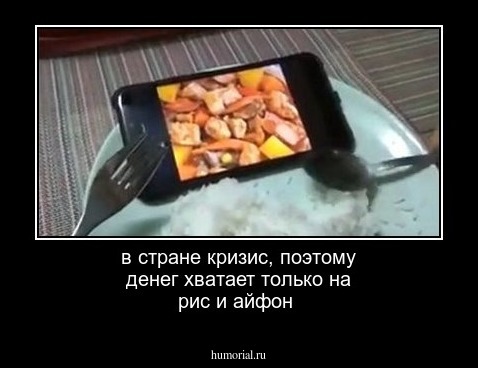 в стране кризис, поэтому денег хватает только на рис и айфон