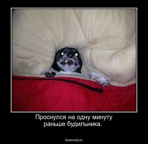 Проснулся на одну минуту раньше будильника.