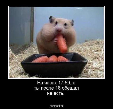 На часах 17:59, а ты после 18 обещал не есть.